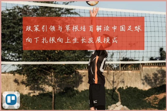政策引领与草根培育解读中国足球向下扎根向上生长发展模式