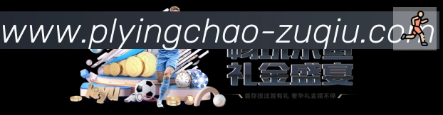 未来规划