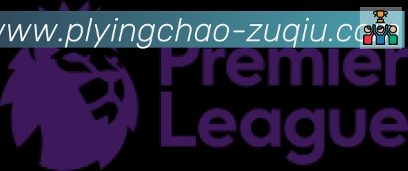 英超直播合作伙伴
