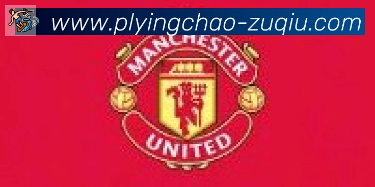 英超直播合作伙伴